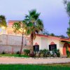 Villa con giardino, palme e illuminazione serale.