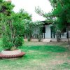 Casetta bianca circondata da alberi e cespugli.