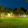 Giardino notturno illuminato con palme e persone sedute.
