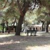Tavolo e panchina sotto gli alberi, edificio sullo sfondo.