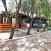 Bungalow tra alberi, con verande colorate e sentieri in ghiaia.