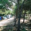 Marina Di Sorso Camping Village (SS) Sardegna