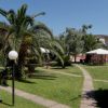 Giardino con palma, vialetti e gazebo; circondato da edifici e fiori.
