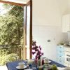 Cucina luminosa con tavolo apparecchiato, finestre aperte su alberi esterni.