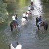 Persone a cavallo attraversano un fiume poco profondo, circondato da alberi.
