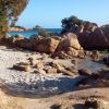 Piccola spiaggia con sabbia, rocce rossastre e alberi, affacciata sul mare.