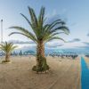 Palme sulla spiaggia con ombrelloni blu a righe.