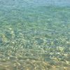 Acqua cristallina che riflette il sole.
