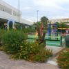 Un parco giochi colorato circondato da piante e fiori.