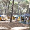 Campeggio con tende e caravan tra alberi in un'area forestale.