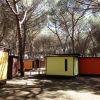 Casette gialle e arancioni tra alberi alti.