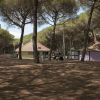 Piazzale ombreggiato con edifici e alberi alti.