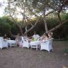 Persone su poltrone bianche in giardino sotto alberi.
