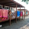 New Camping Le Tamerici (LI) Toscana