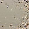 Spiaggia di ciottoli e sabbia asciutta.