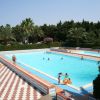 Grande piscina all'aperto, con persone in acqua e palme attorno.