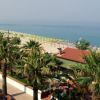 Una spiaggia con lettini e ombrelloni, circondata da palme, vista dall'alto.