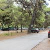 Parcheggio tra alberi con diverse auto.