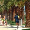 Passeggiata con palme e persone.