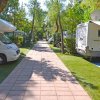 Sentiero tra camper e alberi.