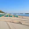 Spiaggia vuota con ombrelloni verdi allineati e mare calmo.