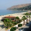 Spiaggia con palme e mare azzurro.