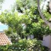 Alberi e tetto in tegole rosse con vista mare.