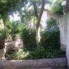 Cortile con piante verdi vicino a un muro bianco e un grande albero.