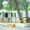 Garganoclub Camping 5 Stelle (FG) Puglia