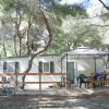 Garganoclub Camping 5 Stelle (FG) Puglia