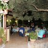 Persone sedute a tavoli all'aperto, circondate da piante, di sera.