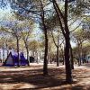 Pedra E Cupa Budoni Camping Village (SS) Sardegna