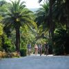 Rosselba Le Palme (LI) Toscana