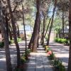 Sentiero tra alberi con aiuole fiorite ai lati, in un'area di camping o bungalow.
