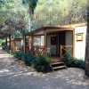 Bungalow di legno lungo un sentiero alberato, con sedie sulla veranda.