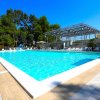 Piscina ampia con lettini e alberi sullo sfondo.