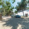 Un parcheggio sabbioso ombreggiato da alberi, con alcune auto parcheggiate.