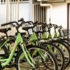 Biciclette verdi in noleggio.