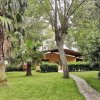 Giardino con palme e sentiero.