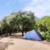 Tenda blu montata in un'area alberata.