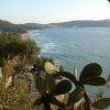 Una vista panoramica di una baia con spiaggia, colline e piante di fichi d'India.