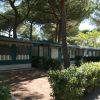 Camping Village Pappasole (LI) Toscana