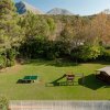 Giardino verde con tavolo da ping pong e giochi per bambini.