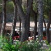 Un edificio basso con tetto in tegole tra alberi e cespugli fioriti.