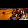 Un anfiteatro con pubblico e un artista sul palco.