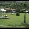 Giardino con sdraio e ombrelloni su prato verde.