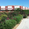 Un vialetto costeggiato da fiori e cespugli fioriti con un edificio rosso sullo sfondo.