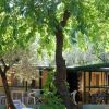Bungalow circondato da alberi e vegetazione rigogliosa.