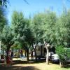 Villaggio Camping Bellariva (FG) Puglia