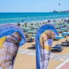 Camping Village Terrazza Sul Mare (FG) Puglia